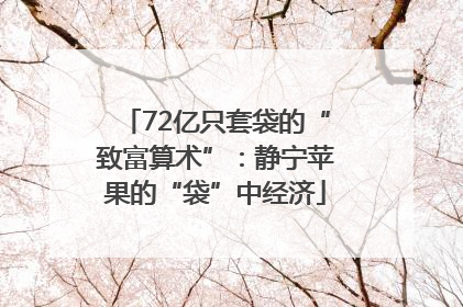 72亿只套袋的“致富算术”：静宁苹果的“袋”中经济