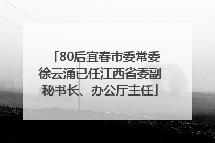 80后宜春市委常委徐云涌已任江西省委副秘书长、办公厅主任