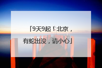 9天9起！北京，有蛇出没，请小心