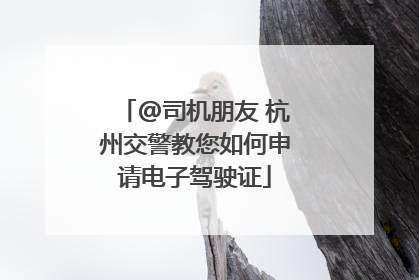 @司机朋友 杭州交警教您如何申请电子驾驶证