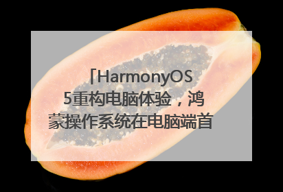 HarmonyOS 5重构电脑体验，鸿蒙操作系统在电脑端首次亮相丨新经济观察